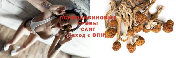 ПСИЛОЦИБИНОВЫЕ ГРИБЫ Бугульма