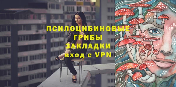ПСИЛОЦИБИНОВЫЕ ГРИБЫ Бугульма