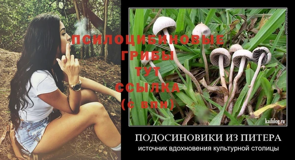 тгк Бронницы