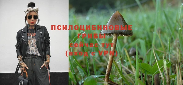 тгк Бронницы