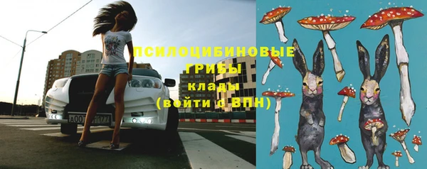 первитин Бородино