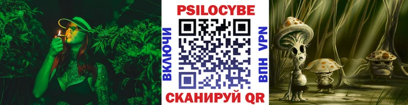 наркота  МЕГА зеркало  Псилоцибиновые грибы Magic Shrooms  Камешково 